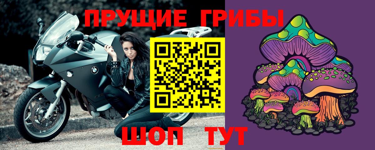 Галлюциногенные грибы GOLDEN TEACHER Кунгур