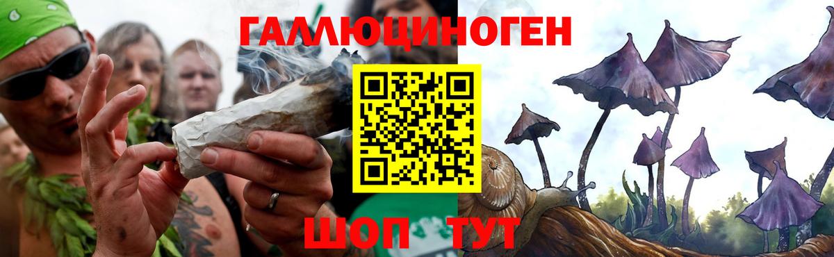 Галлюциногенные грибы мицелий  Вход с VPN  Галлюциногенные грибы мицелий  Кунгур 